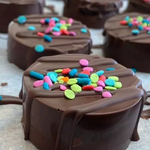 Chocolate Covered Oreo 358