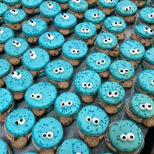 French Macarons 380