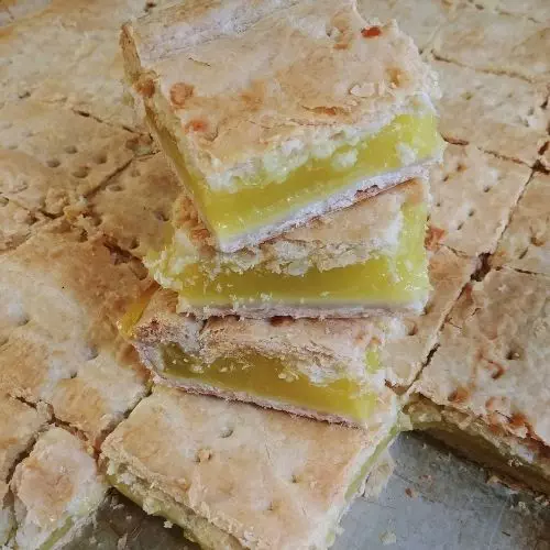 Lemon Fruit Squares 389