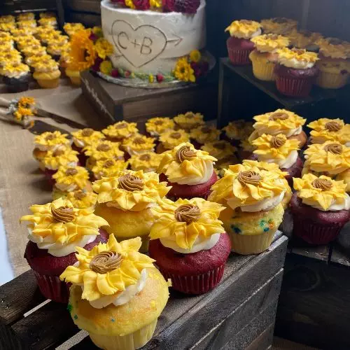 Cupcakes Cupcakes
